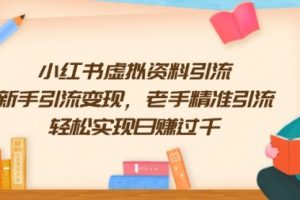 【第8906期】小红书虚拟资料引流，新手引流变现，老手精准引流，轻松实现日赚过千
