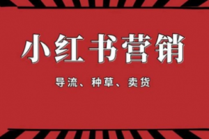 【1917期】手把手教做小红书帐号，一篇笔记涨粉10000，月入十万的博主秘笈