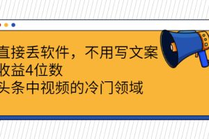 【副业2962期】头条中视频的冷门赚钱教程：直接丢软件，不用文案，收益4位数