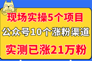 【副业3330期】公众号怎么赚钱：实操5个公众号项目，10个微信涨粉渠道（视频教程）