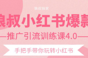 【副业2399期】狼叔：小红书推广引流训练课4.0-16节视频课程附文档