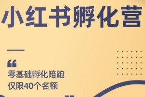 【副业2146期】小红书撸金快速起量副业项目