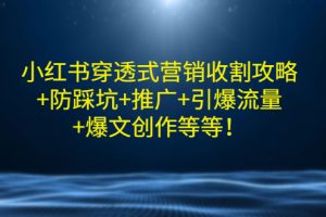 【副业3299期】小红书赚钱攻略：小红书玩法和运营机制全套教程