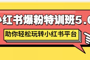 【副业3096期】小红书怎么涨粉：小红书爆粉特训班5.0，玩转小红书平台