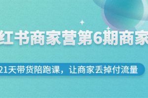 【副业3093期】小红书怎么赚钱：小红书商家营第6期商家版，21天小红书带货陪跑课