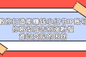 【副业2733期】小红书涨粉技巧：教你打造能涨粉赚钱的小红书IP账号