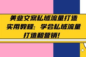 【副业4350期】美业朋友圈营销文案：学会私域流量打造和营销，美业文案私域流量打造实用教程