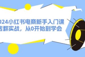 【第8120期】2024小红书电商新手入门课，店群实战，从0开始到学会