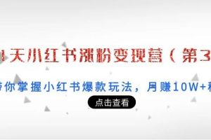 【副业3764】小红书怎么赚钱：21天小红书涨粉变现营（第3期）月赚10W+的秘密