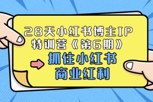 【副业3576】小红书怎么赚钱：28天小红书博主IP特训营第6期（价值1999）