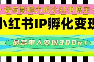 【副业4110期】小红书怎么赚钱：某收费培训-小红书博主IP孵化变现，最高单人变现300w