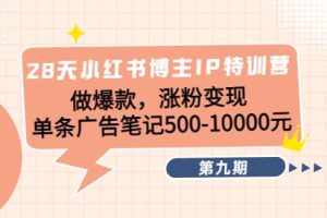 【副业3939】小红书怎么赚钱：28天小红书博主IP特训营《第9期》
