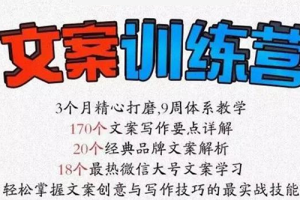 【副业3013期】文案怎么写吸引人，大神文案写作培训，全面解决文案写作难题