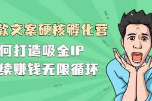 【副业2742期】爆款文案如何写：如何打造吸金IP，持续赚钱无限循环