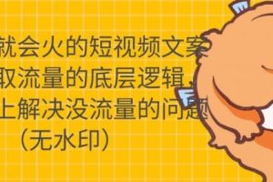 【副业2007期】实操短视频文案课，玩转短视频文案