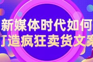 【副业2480期】打造疯狂卖货文案：63节视频教程经验干货