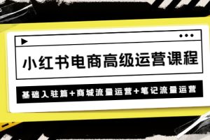 【副业4122期】小红书怎么赚钱：小红书基础入驻篇+商城流量运营+笔记流量运营