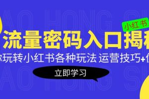 【第4486期】小红书的流量规则密码入口揭秘：带你玩转小红书各种运营优化玩法