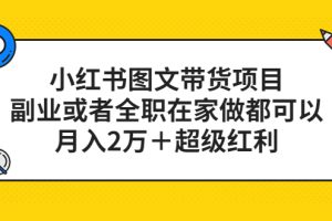 【第4628期】怎么在小红书上赚钱：月入2万＋，小红书图文带货项目