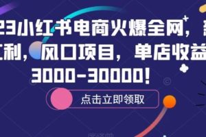 【第4939期】小红书电商怎么做：2023小红书电商新晋风口项目，单店收益在3000-30000！