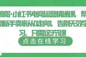 【第4901期】小红书电商怎么做：疯哥·小红书电商运营精通课，帮助新手卖家从0走向100