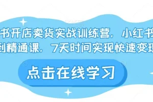 【第6299期】小红书开店卖货实战训练营，小红书入门到精通课，7天时间实现快速变现