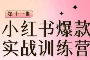 【第6262期】小红书博主爆款训练营第11期，手把手教你从0-1做小红书，从定位到起号到变现