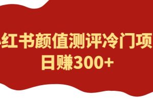 【第5004期】怎样在小红书赚钱：外面1980的项目，小红书颜值测评冷门项目，日赚300+