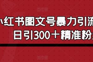 【第4985期】小红书引流推广怎么做： 小红书图文号暴力引流4.0，日引300＋精准粉