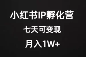【第6227期】价值2000+的小红书IP孵化营项目，超级蓝海，七天开始变现，稳定月入1W+