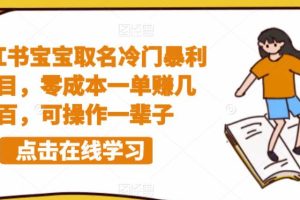 【第5212期】宝宝起名项目如何赚钱：小红书宝宝取名冷门暴利项目，零成本一单赚几百