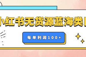 【第5194期】小红书如何做无货源网店：小红书无货源做蓝海类目，每单利润50-200+月入过万