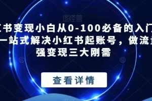 【第5849期】小红书变现小白从0-100必备的入门课程，一站式解决小红书起账号，做流量，强变现三大刚需