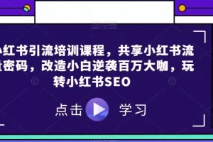 【第5829期】小红书seo怎么做：小红书引流共享小红书流量密码，改造小白逆袭百万大咖，玩转小红书SEO