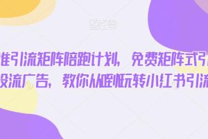 【第5602期】小红书引流推广怎么做：小红书精准引流矩阵陪跑计划，免费矩阵式引流+付费投流广告