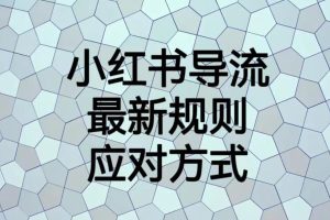 【第5502期】小红书导流技巧：小红书导流最新规则应对方式【揭秘】