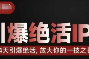 【第9311期】引爆绝活IP训练营14天引爆绝活，放大你的一技之长