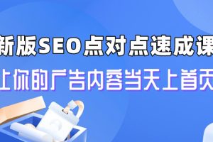 【第5536期】最新seo视频教程：新版SEO引流速成课，关键词广告内容当天上首页