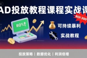 【第9607期】AD投放教程课程实战课,实现广告ROI300%+可持续暴利
