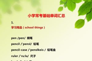 【第8009期】百思达教育 英语词汇小学入门1000词汇
