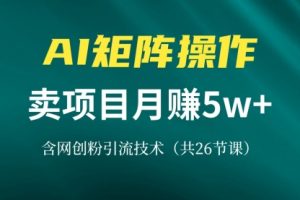 【第8613期】网创IP打造课，借助AI卖项目月赚5万+，含引流技术（共26节课）