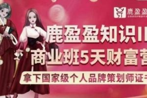 【第6269期】鹿盈盈知识IP双阶班——发售密训课16项