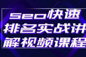 【副业2852期】实战seo快排原理：玩转seo快速排名实操视频课程+软件