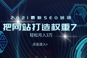 【副业2522期】2021最新SEO培训教程：手把手教你把网站打造权重7（视频教程）