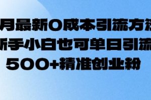 【第9011期】2月最新0成本引流方法，新手小白也可单日引流500+精准创业粉