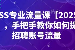 【第8993期】BOSS专业流量课【2025新课】手把手教你如何提升招聘账号流量