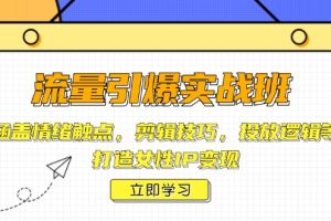 【第8900期】流量引爆实战班，涵盖情绪触点，剪辑技巧，投放逻辑等，打造女性IP变现