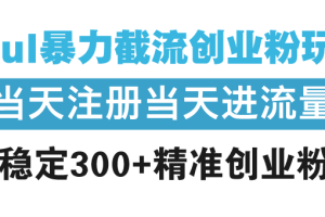 【第8841期】Soul暴力截流创业粉玩法，当天注册当天进流量，日稳定300+精准创业粉丝
