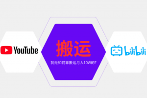【第8796期】纯搬运引流日进300粉，月入10w级教程