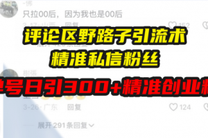 【第8747期】评论区野路子引流术，精准私信粉丝，单号日引流300+精准创业粉